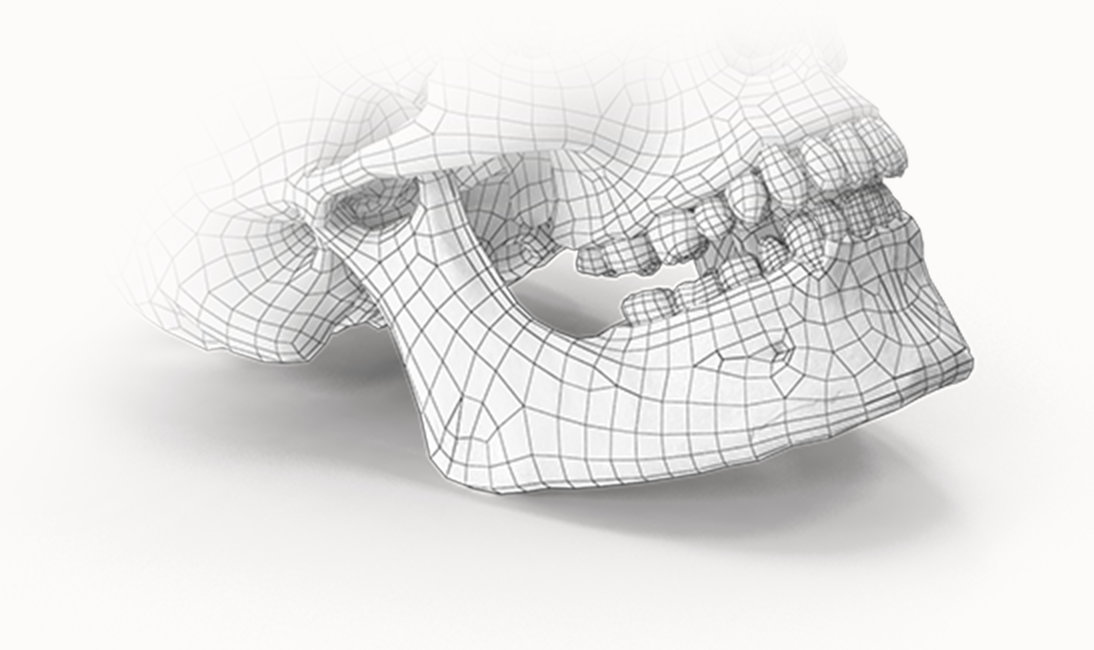 顎の骨格3Dモデル。345 Plastic Surgeryでは、顎の整形手術も提供しています。ワイヤーフレームで表現された骨格は、美容整形手術の精密さを象徴。顔の輪郭形成、小顔効果、Eライン形成など、様々なニーズに対応。
