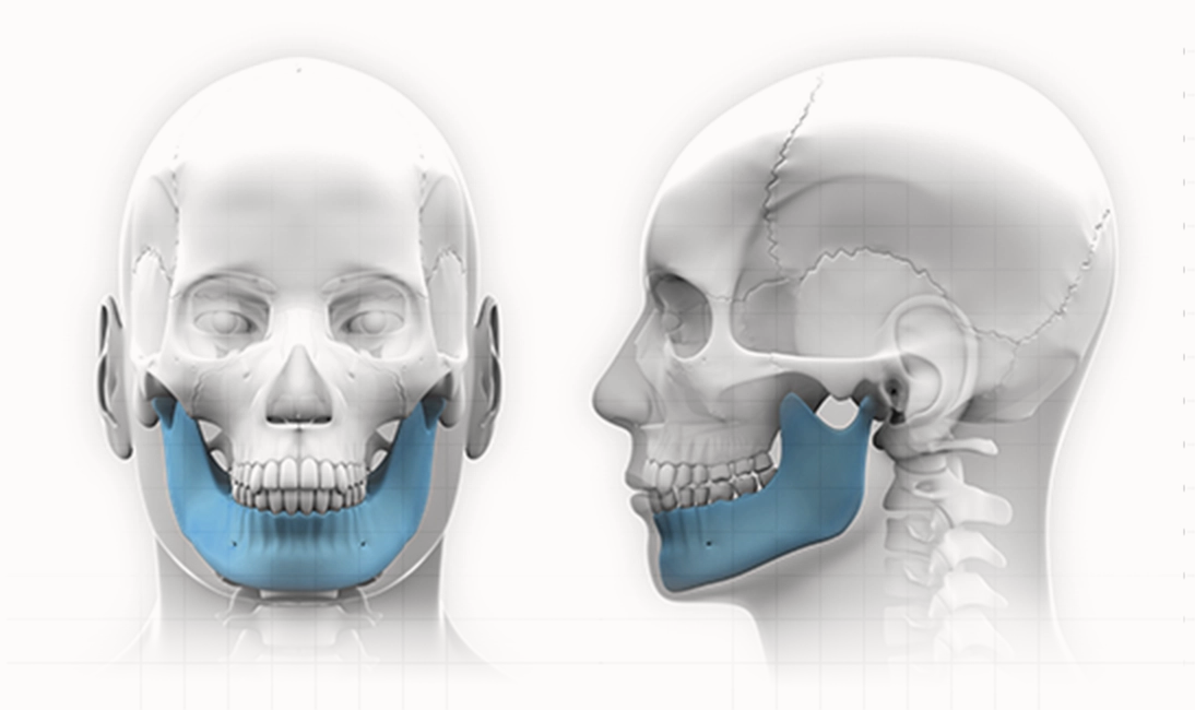 顔面骨格図。正面と横からの図で、青く強調された下顎骨を示す。345 Plastic Surgeryが提供する輪郭形成、骨切り術など、美容整形手術のイメージ。