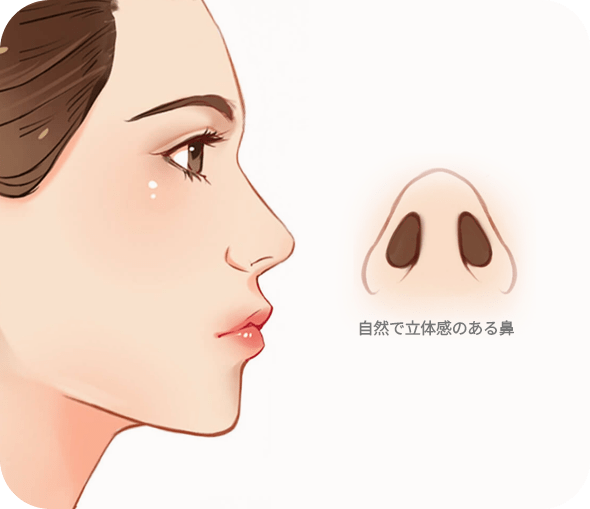 横顔と鼻のイラスト、説明付き