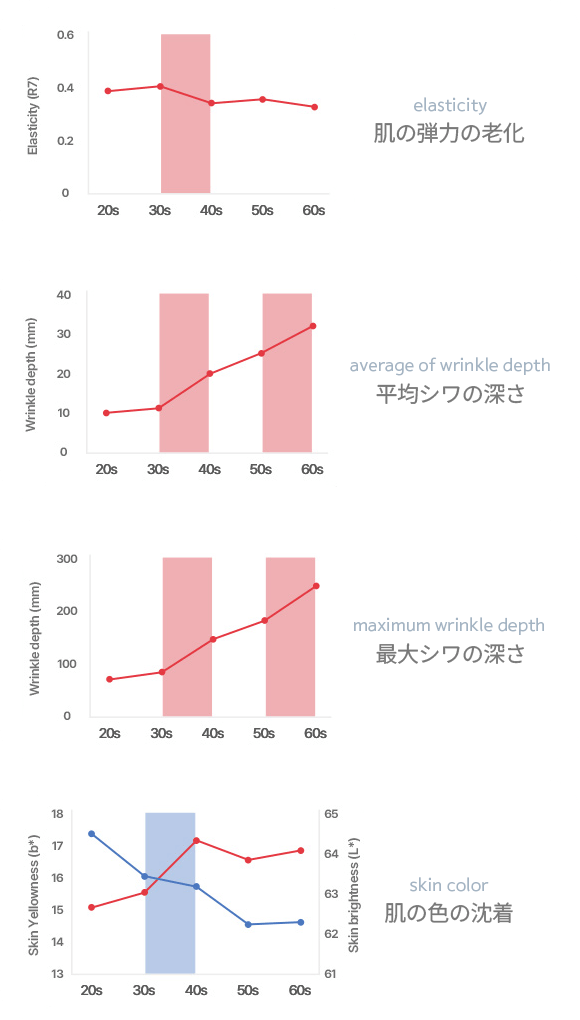 肌の弾力とシワ深さの年齢変化