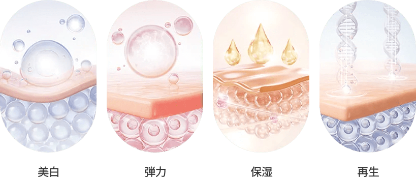 美白、弾力、保湿、再生のスキンケア効果