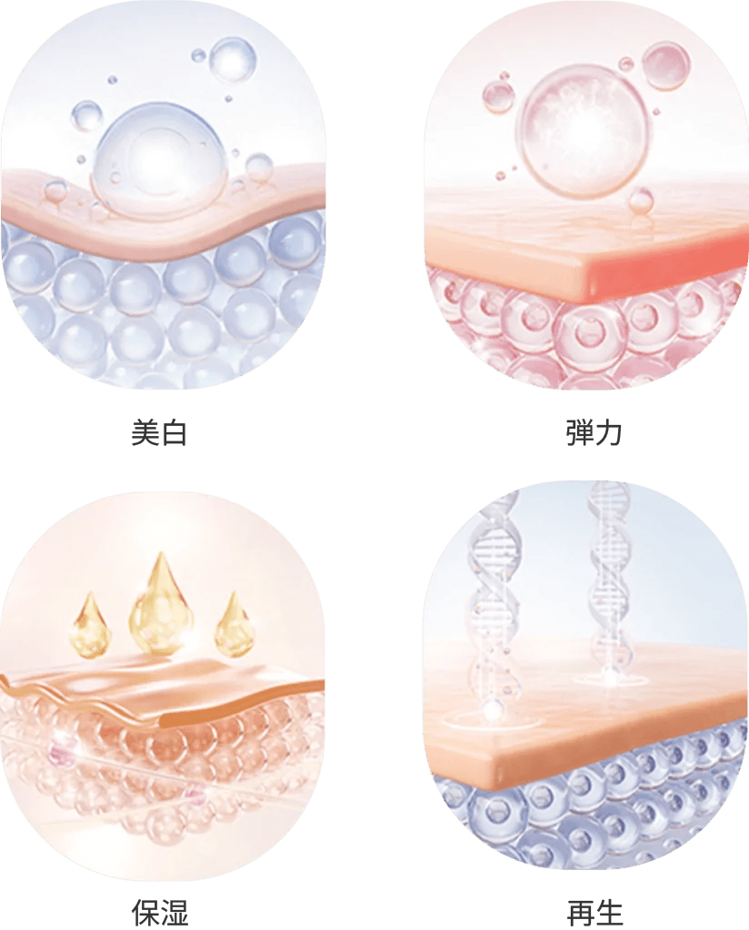肌の美白、弾力、保湿、再生を表現